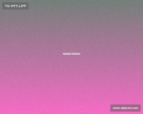 李小伟电子竞技 电竞选手李晓峰